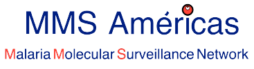 MMS Americas