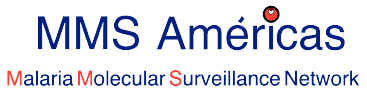 MMS Americas